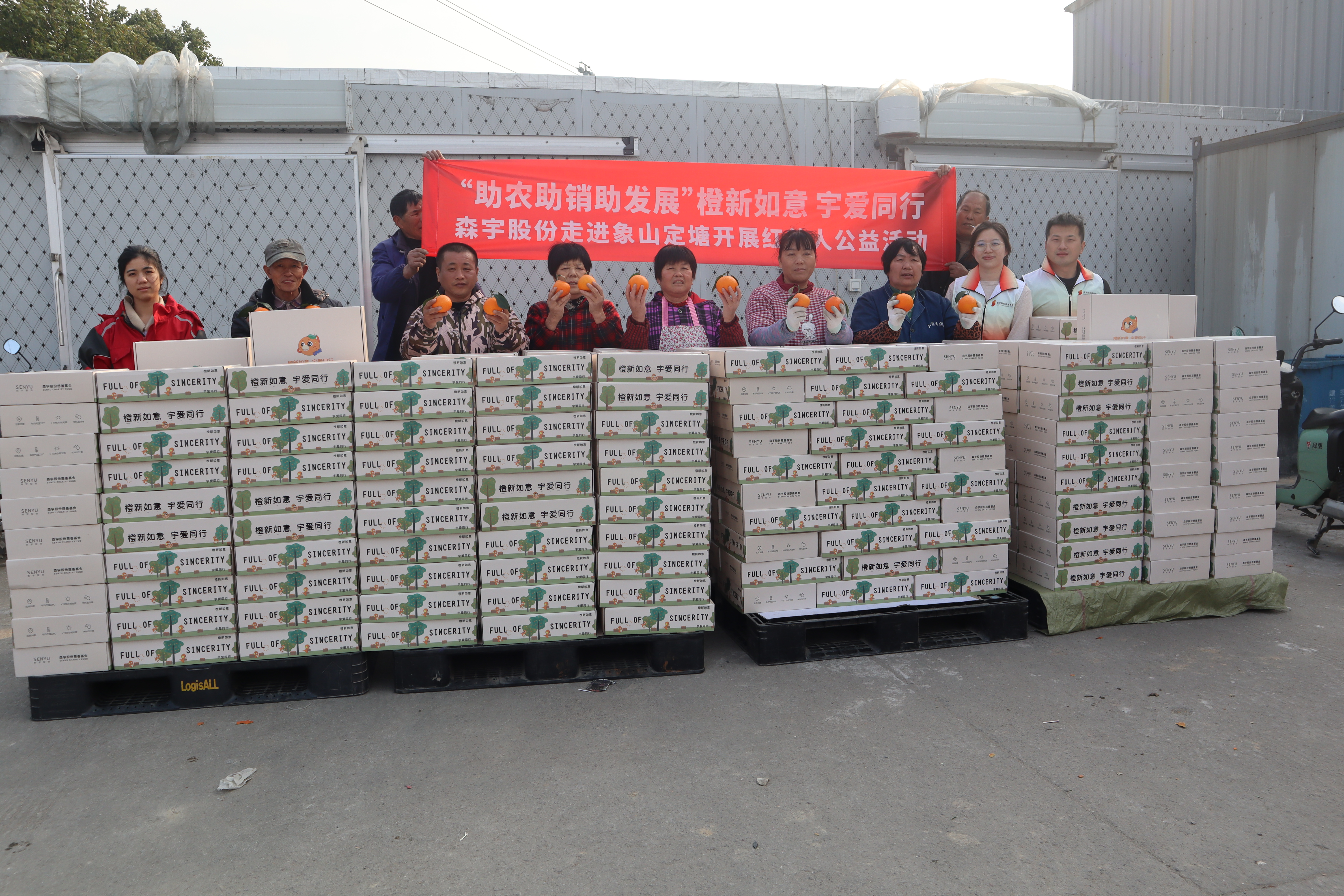 暖冬甜蜜丰收季 金年会善行助农新“橘”面
